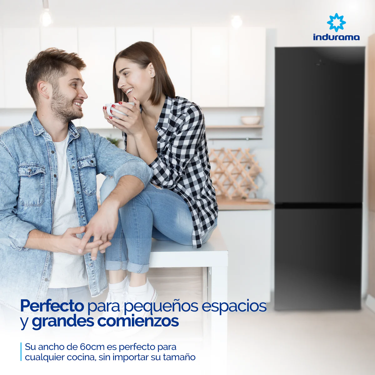 Nevera Indurama Tipo Europeo Bottom Mount Ri-6312 Negra 312 Lts - Imagen 6