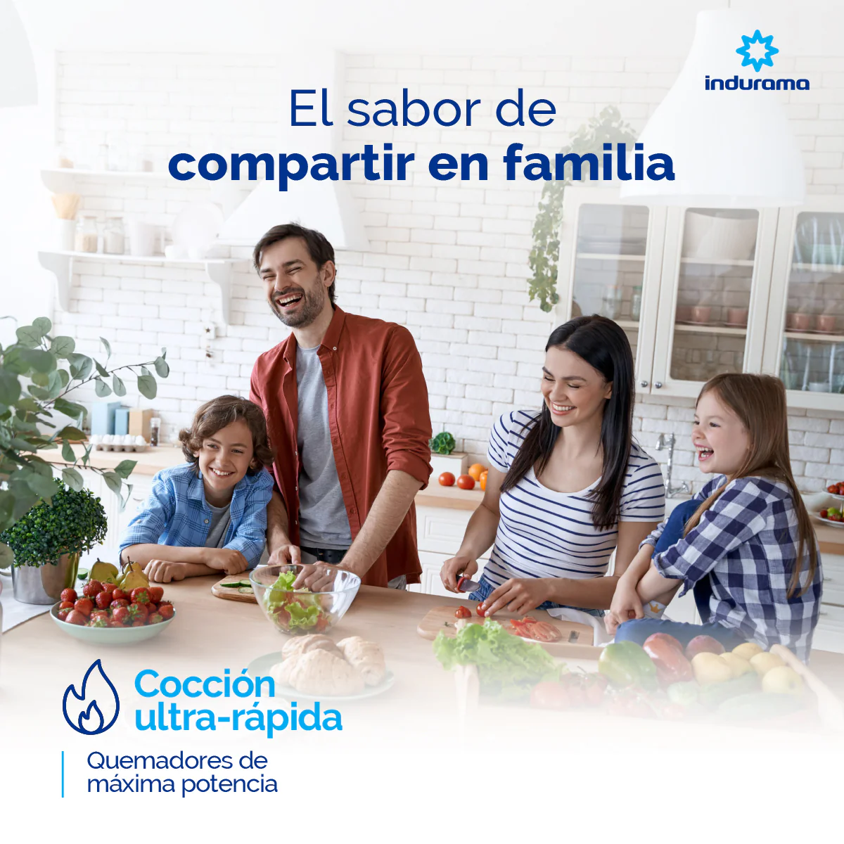 Estufa INDURAMA Bilbao Plus 4PTOS Gas Natural TBIL008 - Imagen 9