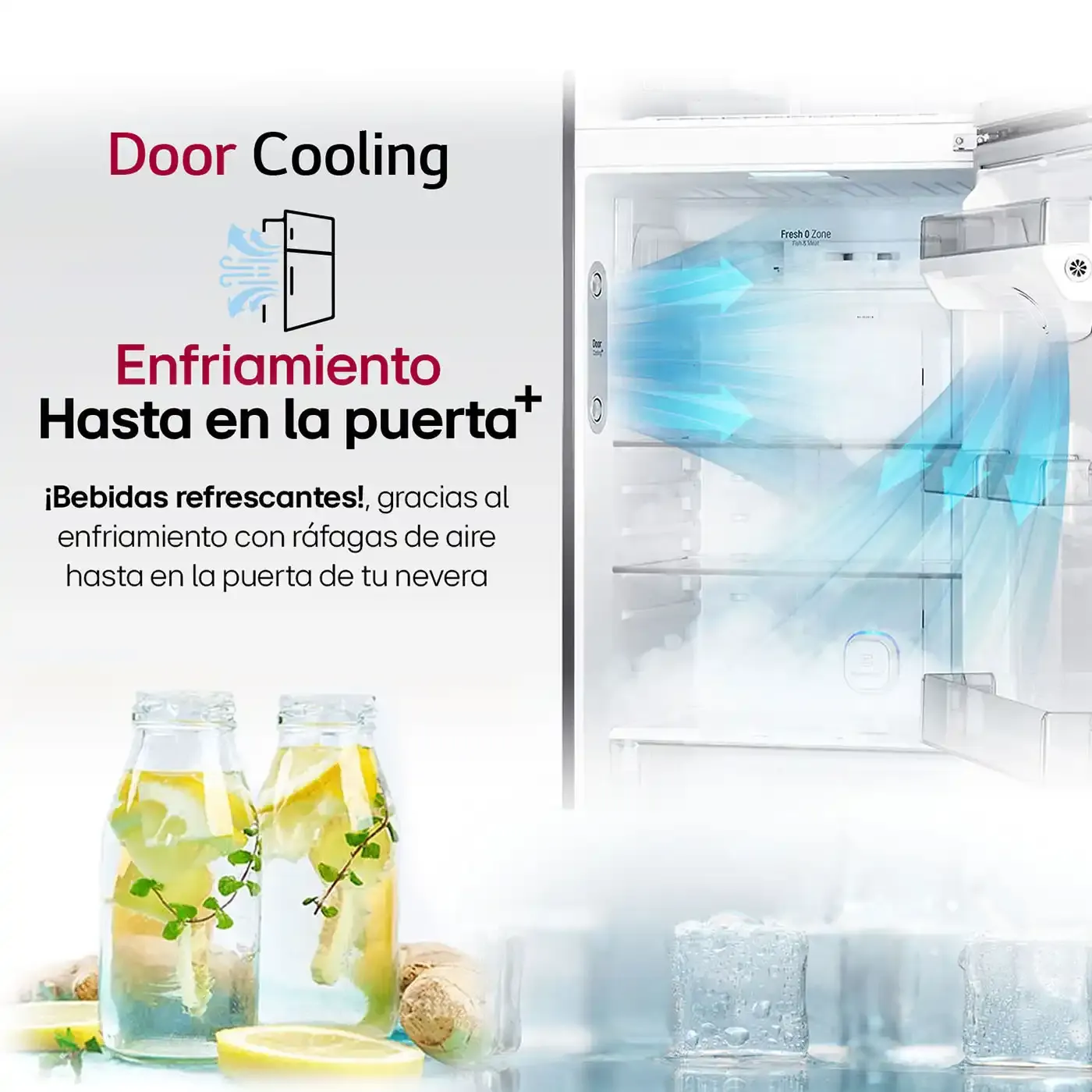 Nevera LG Door Cooling VT34KPM - 334 LTS - Imagen 4